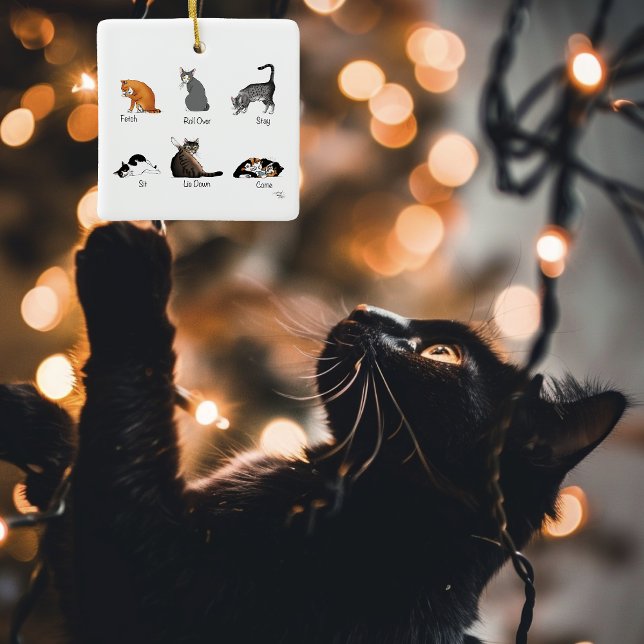 Cat Commands Ceramic Ornament (Creator Uploaded)