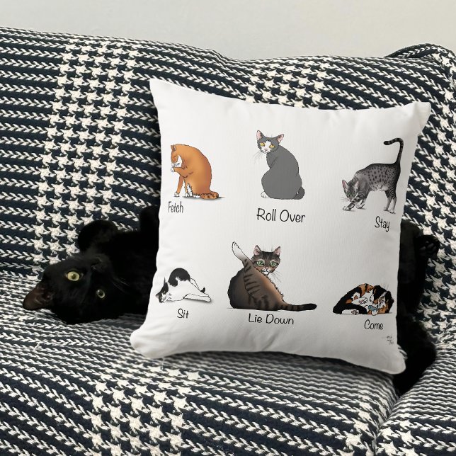 Cat Commands Cushion (Creator Uploaded)