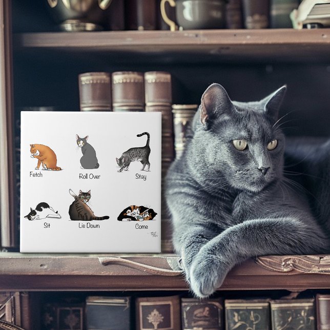 Cat Commands Tile (Creator Uploaded)