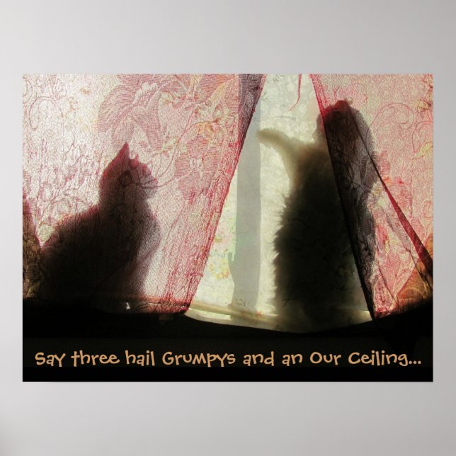 Cat Confessions Poster (Front)
