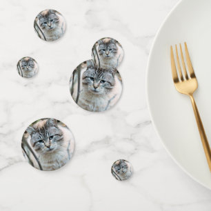 Cat Confetti