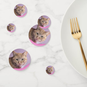 Cat Confetti