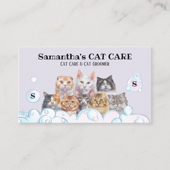 Cat Content Creator Brand Business Card (Front)
