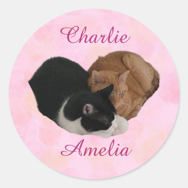 Cat Couple Your Names Classic Round Sticker (Front)