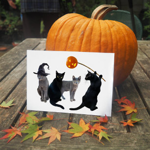 Cat Coven Halloween Card