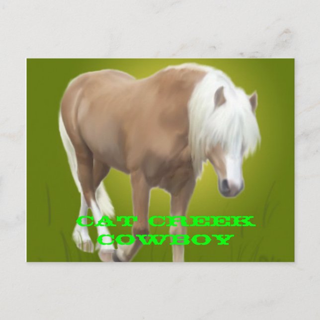 Cat Creek Cowboy PC Postcard (Front)