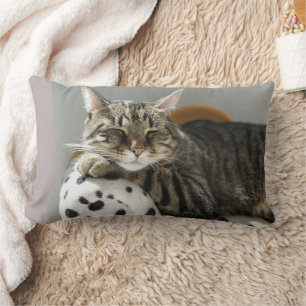 CAT CUDDLE BOYFRIEND TABBY PILLOWS