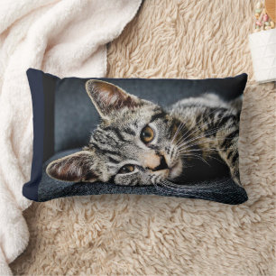 CAT CUDDLE CUTE KITTEN PILLOWS