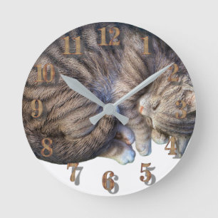 Cat curled up sleeping cute cozy round clock