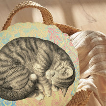 Cat curled up sleeping on quilt cute cosy