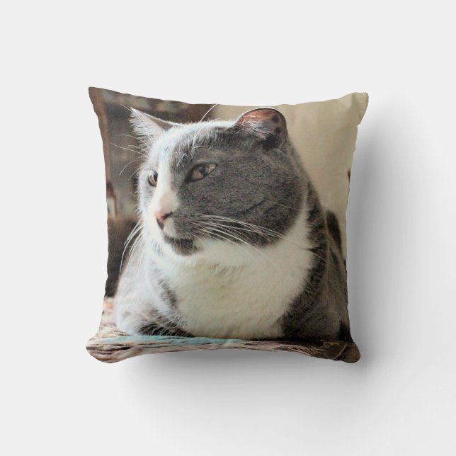 Cat Cushion (Front)