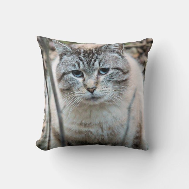 Cat Cushion (Front)