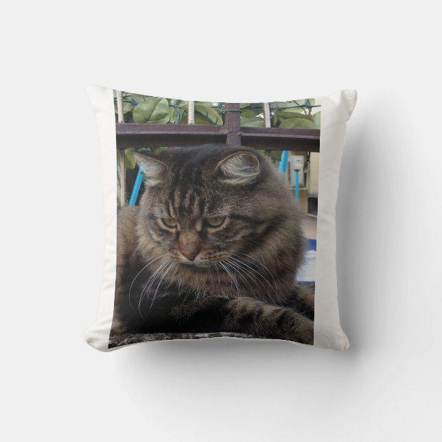 Cat Cushion (Front)