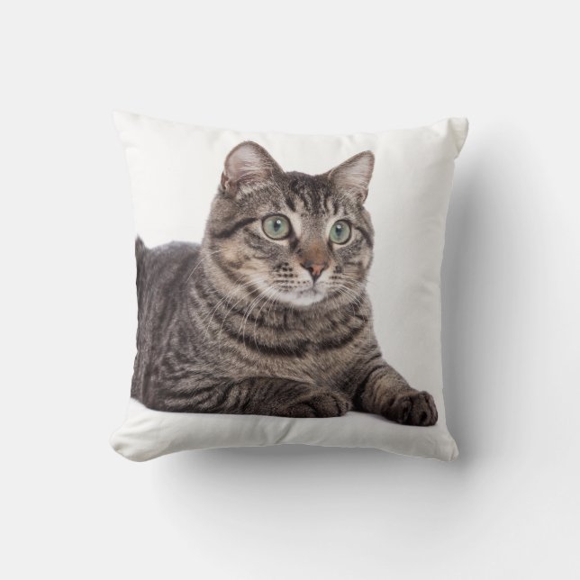 Cat Cushion (Front)