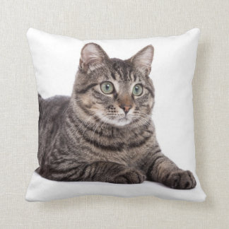 Cat Cushion