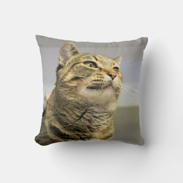 Cat Cushion (Front)