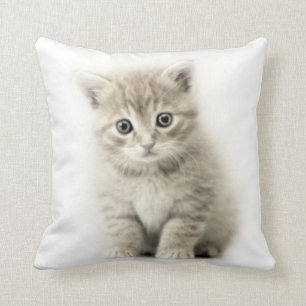 CAT CUSHION