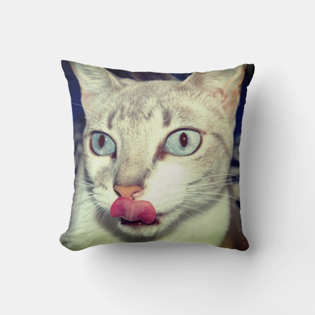 Cat Cushion (Front)
