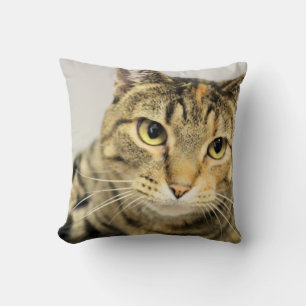 Cat Cushion