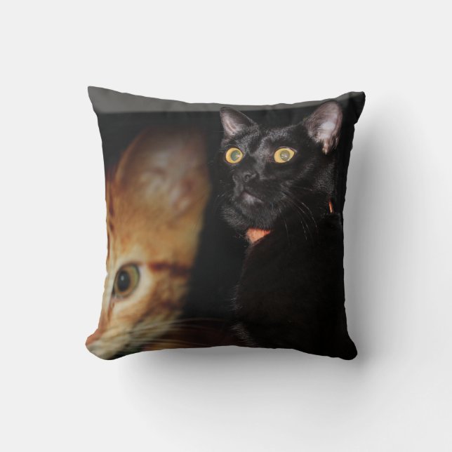 Cat Cushion (Front)