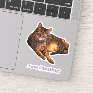 Cat Custom-Cut Vinyl Stickers