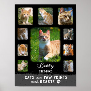 Cat Custom Photo Collage Faded Borders Black Grey Poster