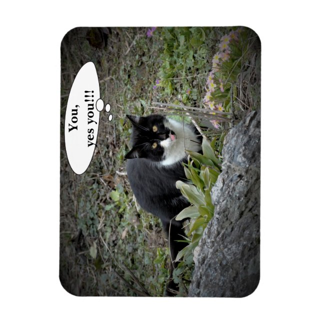 Cat Custom text Photo Magnet (Vertical)