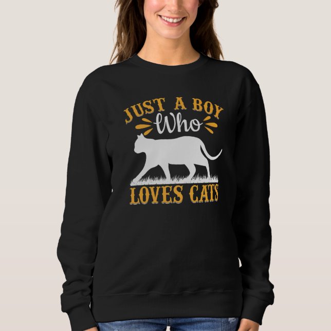 Cat Cute Cat Owner I Just A Boy Who Loves Cats Sweatshirt (Front)
