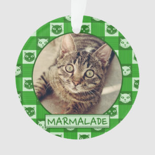 Cat Cute Green Kitty Gingham Add Custom Photo Name Ornament