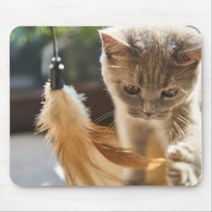 Cat, cute,play mouse pad