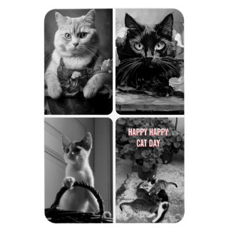 cat day black white red magnet
