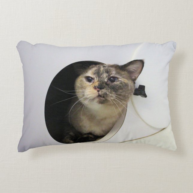 Cat  decorative cushion (Front)