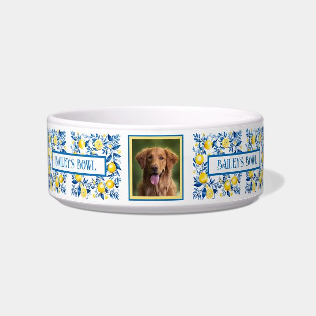 Cat Dog Lovers Mediterranean Style Photo Name    Bowl (Front)
