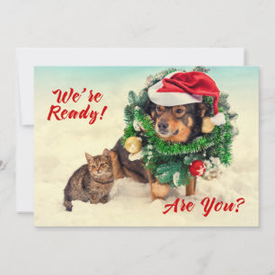 Cat & Dog Two Sided Christmas Card