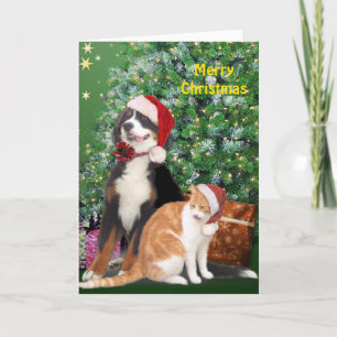 Cat & Dog with Santa Hats Holiday Card