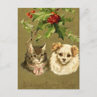 Cat & Dog's Christmas Card