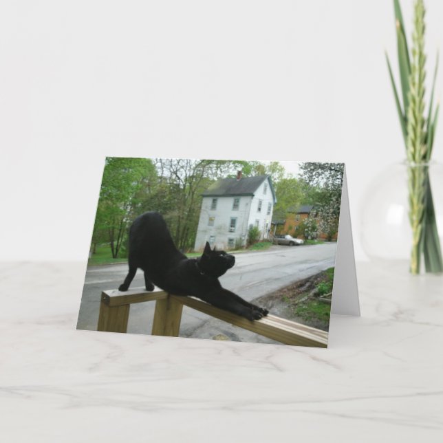 Cat Doing Morning Yoga Greeting Card (Front)