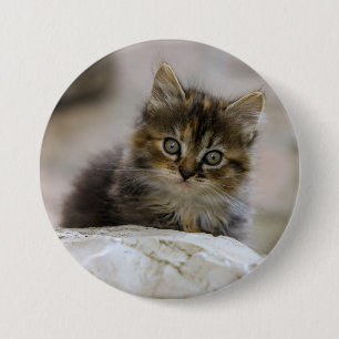 Cat, Domestic cat, Animal 7.5 Cm Round Badge