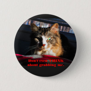 Cat Don't even think about grabbing me 6 Cm Round Badge