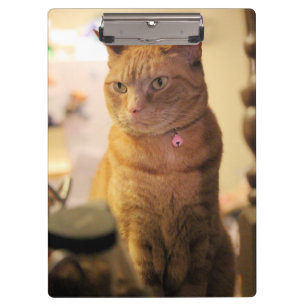 Cat Drawstring Bag Notebook Clipboard