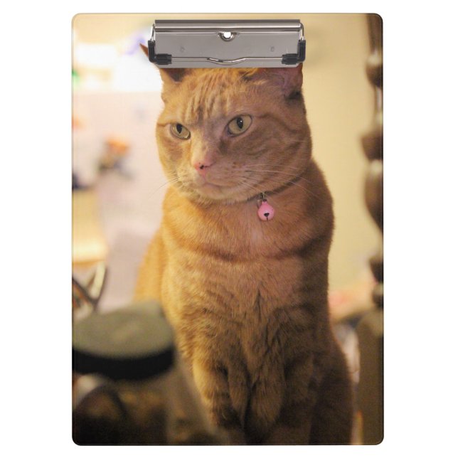 Cat Drawstring Bag Notebook Clipboard (Front)