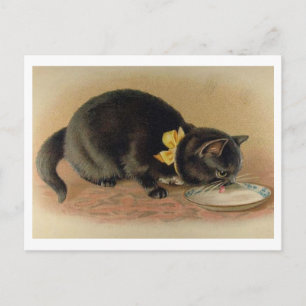 Cat Drinking Milk from a Bowl Vintage Postcard