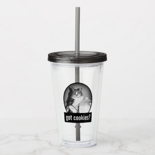 Cat Drinking Milk From Jug Acrylic Tumbler