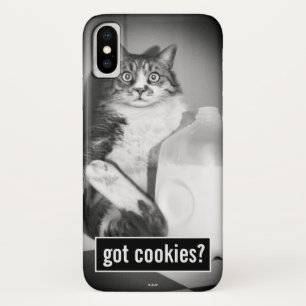Cat Drinking Milk From Jug iPhone X Case