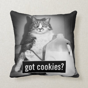 Cat Drinking Milk From Jug Cushion