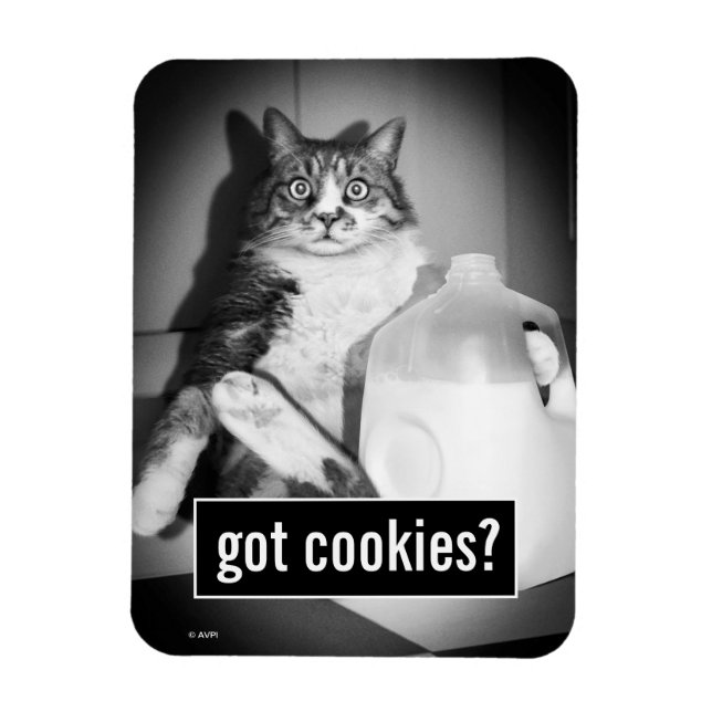 Cat Drinking Milk From Jug Magnet (Vertical)