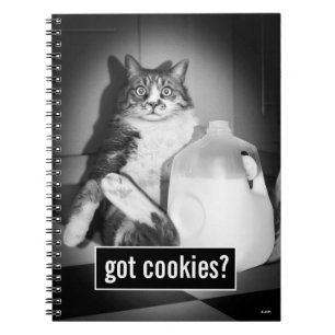 Cat Drinking Milk From Jug Notebook