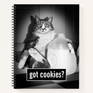 Cat Drinking Milk From Jug Notebook