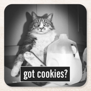 Cat Drinking Milk From Jug Square Paper Coaster