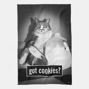 Cat Drinking Milk From Jug Tea Towel